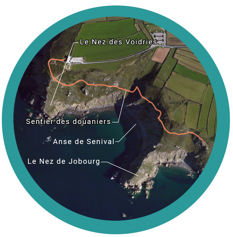 Zoom sur le Nez de Jobourg